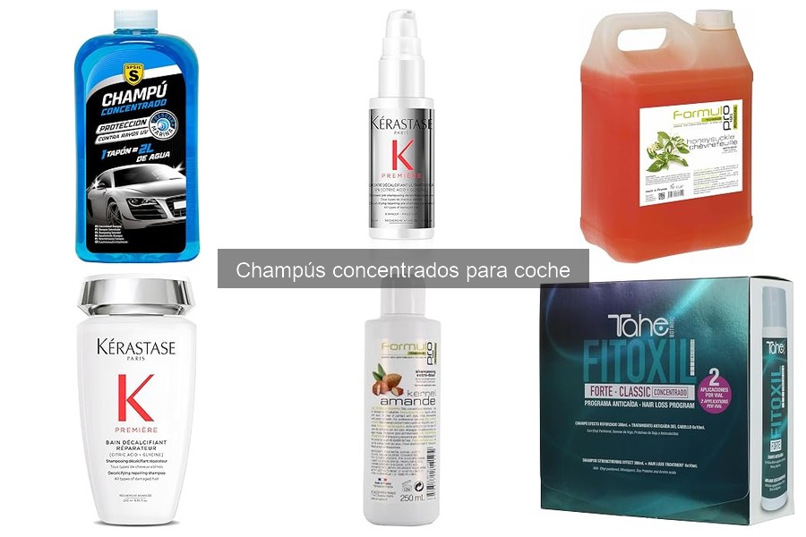 Comparativa de los mejores champús concentrados para coche 2026